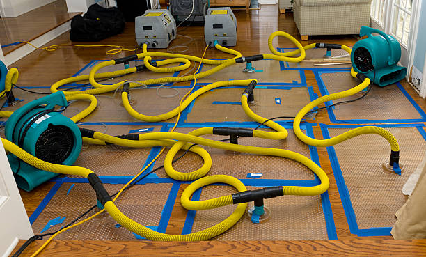 Professional Water Damage Repair technician working in Three Rivers, MI